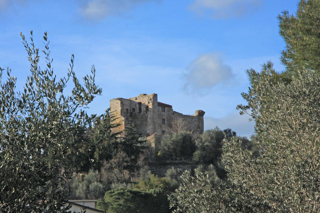 La Fonte Degli Angeli Suvereto